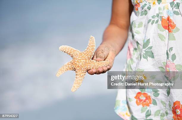 girl holding starfish - lincoln city oregon stock pictures, royalty-free photos & images