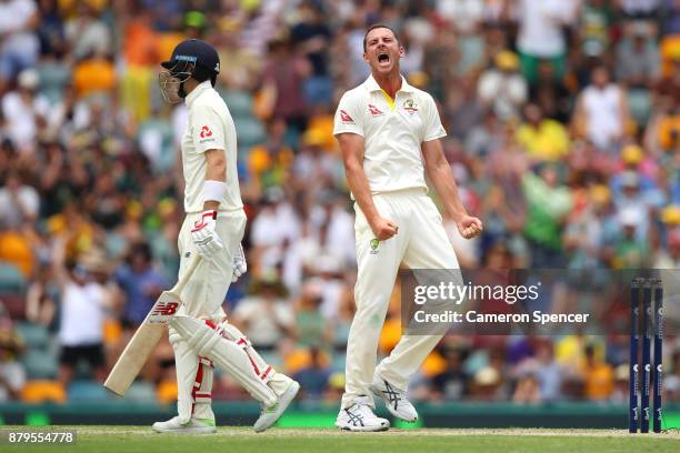 Josh Hazlewood of Australia celebrates after taking the wicket of Joe Root of England during day four of the First Test Match of the 2017/18 Ashes...