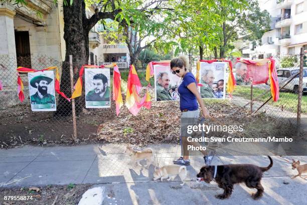 Cuban woman walks dogs as she passes in front of photos of late Revolution leader Fidel Castro , Che Guevara and Camilo Cienfuegos in front of the...