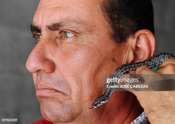 Felix Reyes, owner of 'La Unica' farm handles a newborn boa constrictor in La Herradura, 40 Km south of San Salvador on May 22, 2009. Felix Reyes...