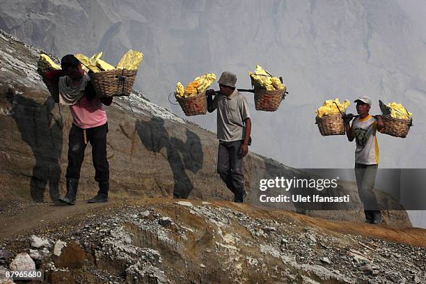 Traditional miners carry sulphur on the Ijen volcano complex on May 25, 2009 outside Banyuwangi, East Java, Indonesia. The Ijen crater rises to...