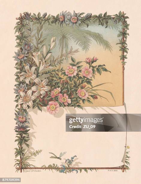 floral decor with copy space, lithograph, published in 1883 - white lily illustration stock illustrations