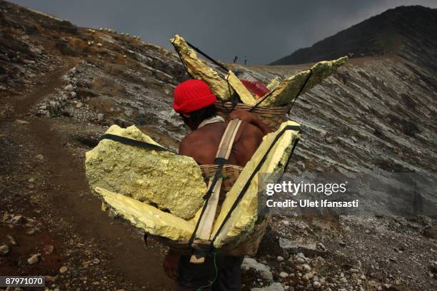 Traditional miners carry sulphur on the Ijen volcano complex on May 25, 2009 outside Banyuwangi, East Java, Indonesia. The Ijen crater rises to...