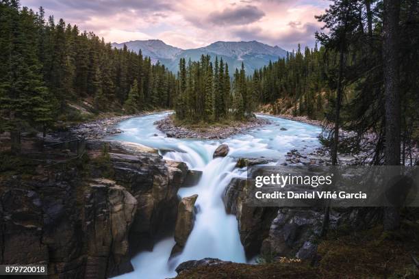 sunwapta falls, jasper national park, alberta, canada - jasper canada stock pictures, royalty-free photos & images