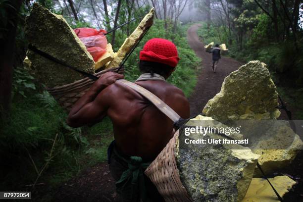 Traditional miners carry sulphur on the Ijen volcano complex on May 25, 2009 outside Banyuwangi in East Java, Indonesia. The Ijen crater rises to...