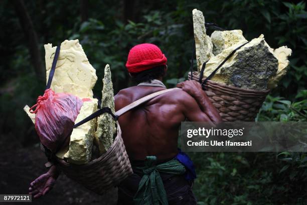 Traditional miners carry sulphur on the Ijen volcano complex on May 25, 2009 outside Banyuwangi in East Java, Indonesia. The Ijen crater rises to...