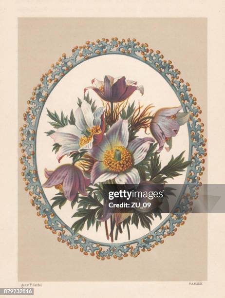 anemone bouquet, lithograph, published in 1883 - anemone flower arrangements stock illustrations