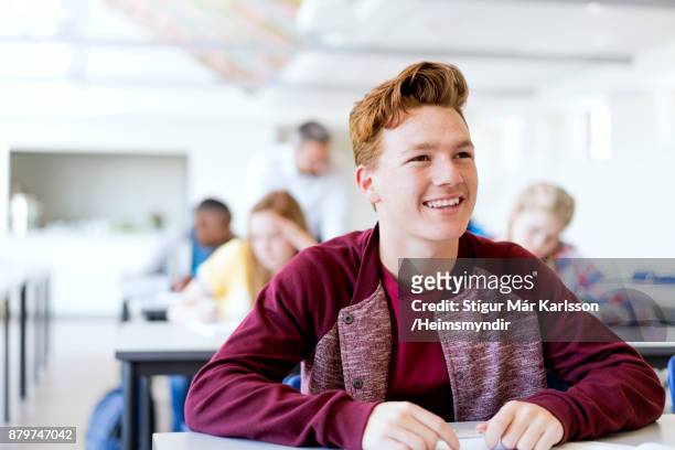 sorridente studente adolescente maschio rossa a scuola - white male professor foto e immagini stock