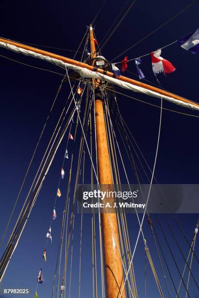 the mast - new brunswick flag fotografías e imágenes de stock