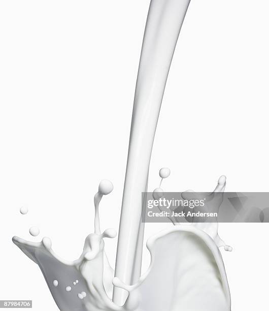 milk splashing - milk pour white background bildbanksfoton och bilder