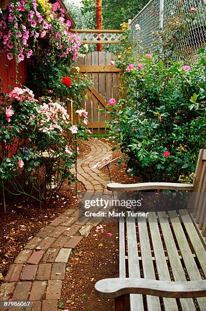 brick path with wooden bench in garden - garden gate rose stock pictures, royalty-free photos & images