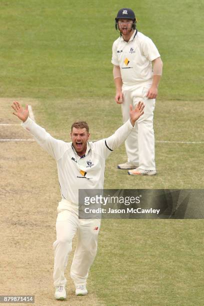 Aaron Finch of Victoria celebrates the wicket of Sean Abbott of NSW during day four of the Sheffield Shield match between New South Wales and...