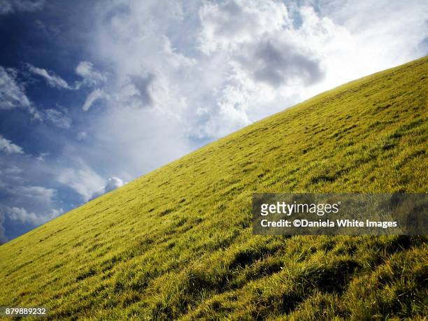diagonal image - grass area stock pictures, royalty-free photos & images