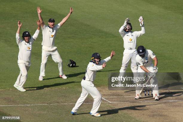 Victorian players celebrate the dismissal of Stephen O'Keefe of NSW off the bowling of Glenn Maxwell of Victoria during day four of the Sheffield...