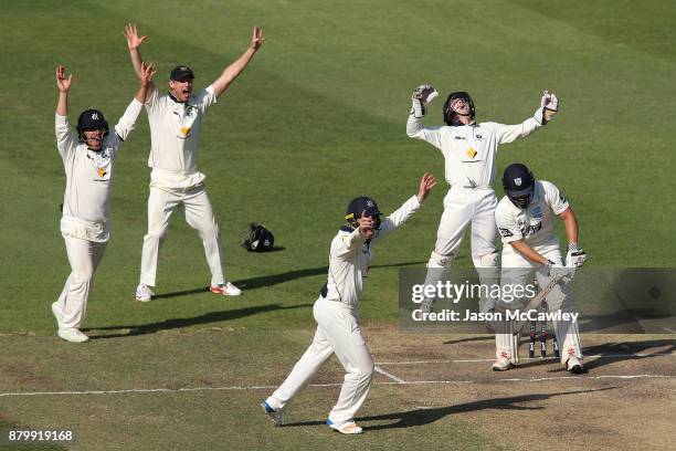 Victorian players celebrate the dismissal of Stephen O'Keefe of NSW off the bowling of Glenn Maxwell of Victoria during day four of the Sheffield...