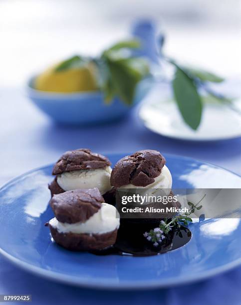 chocolate profiteroles with vanilla ice cream - profiterole stock-fotos und bilder