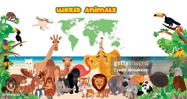 world animals - meerkat vector stock illustrations