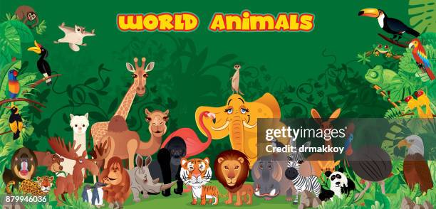 ilustrações, clipart, desenhos animados e ícones de animais do mundo - jardim zoológico