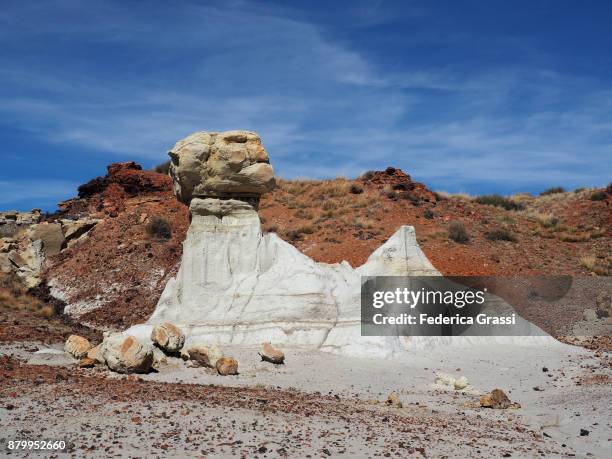 sphinx-shaped rock formation at ah-shi-sle-pah wilderness study area, nm - pinnacle rock formation fotografías e imágenes de stock