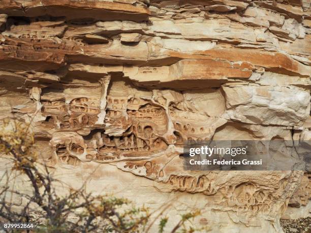 cubby holes in sandstone wall, glen canyon national recreation area, az - cubbyhole stock pictures, royalty-free photos & images