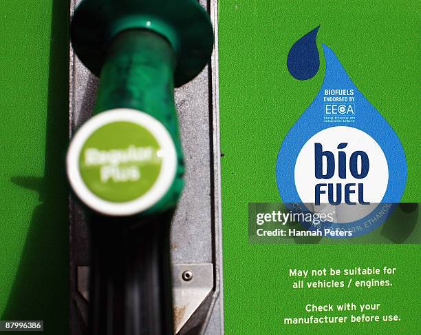 General view of a biofuel pump at a Gull petrol station as seen on May 27, 2009 in Auckland, New Zealand. Gull is the first petrol station to supply...