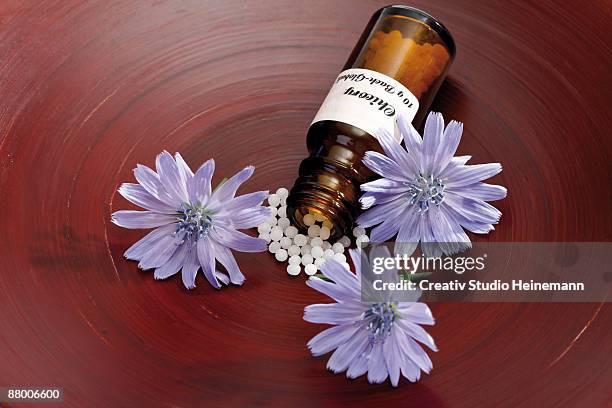 bottle with bach flower stock remedy, chicory (cichorium intybus), elevated view - bachblüten stock-fotos und bilder