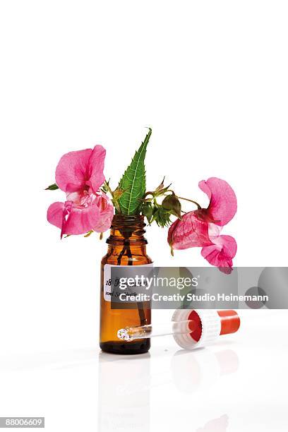 bottle with bach flower stock remedy, impatiens - bachblüten stock-fotos und bilder