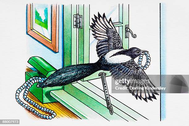 magpie flying away through open window with piece of jewellery in its beak - magpie stock illustrations
