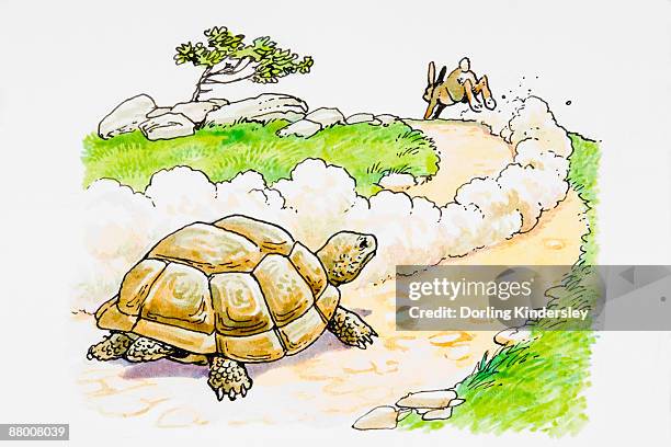 rabbit running away from tortoise - different path stock illustrations