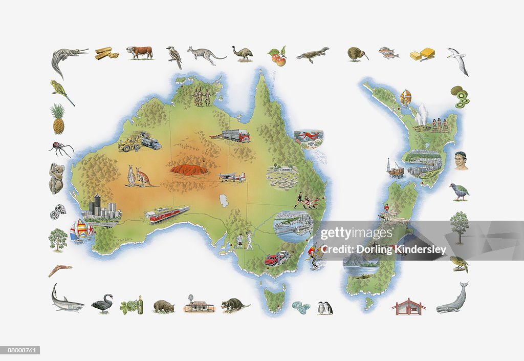Illustration of Australia, Tasmania, and New Zealand, showing fauna, flora and places of interest