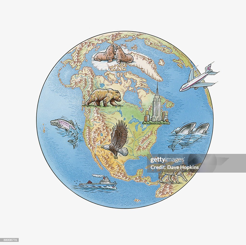 Illustration of Arctic Circle, North America, South America, showing fauna, flora and international landmark