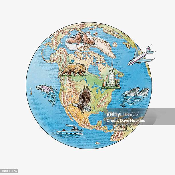 illustration of arctic circle, north america, south america, showing fauna, flora and international landmark - jaguar aircraft stock illustrations