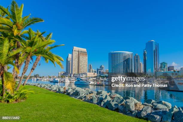 stadtbild mit wolkenkratzern der skyline von san diego, ca - san diego stock-fotos und bilder