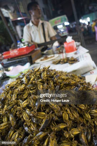 fried crickets on street food cart at night market in chinatown, yangon, yangon, myanmar - fried crickets stock pictures, royalty-free photos & images