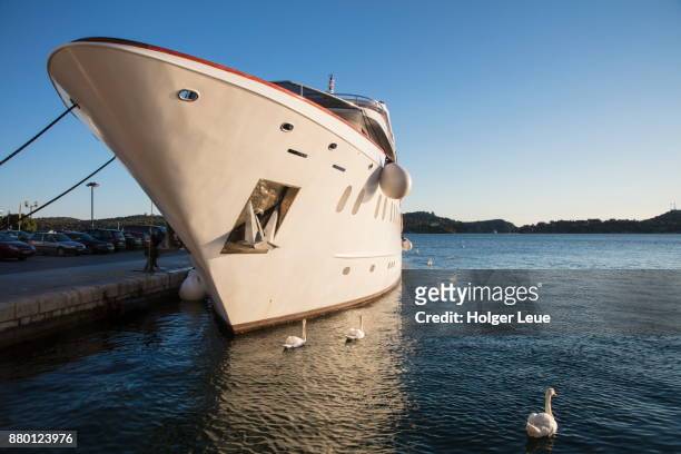 cruise ship ms romantic star (reisebüro mittelthurgau) at pier with white swans alongside, sibenik, sibenik-knin, croatia - reisebüro stockfoto's en -beelden