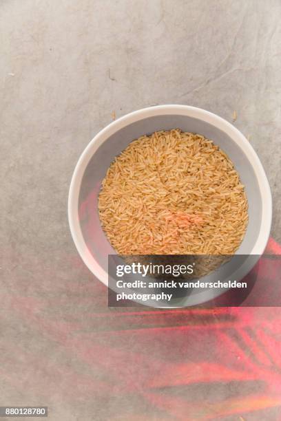 Inedible Food Photos and Premium High Res Pictures - Getty Images