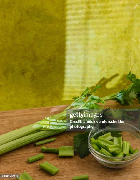 celery. - tecido conjuntivo denso imagens e fotografias de stock