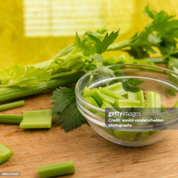 celery. - tecido conjuntivo denso imagens e fotografias de stock