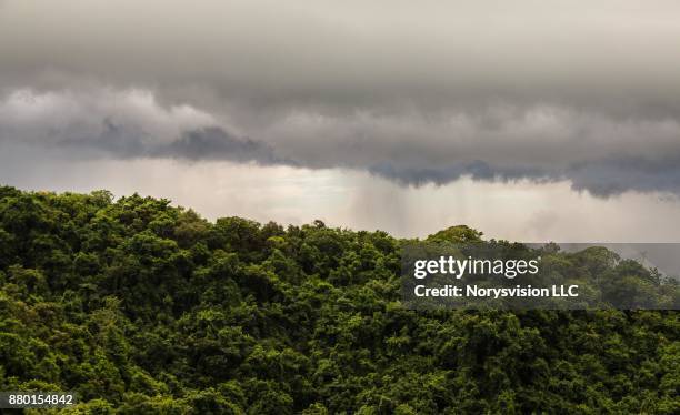 view from a mountain peak - luquillo stock-fotos und bilder