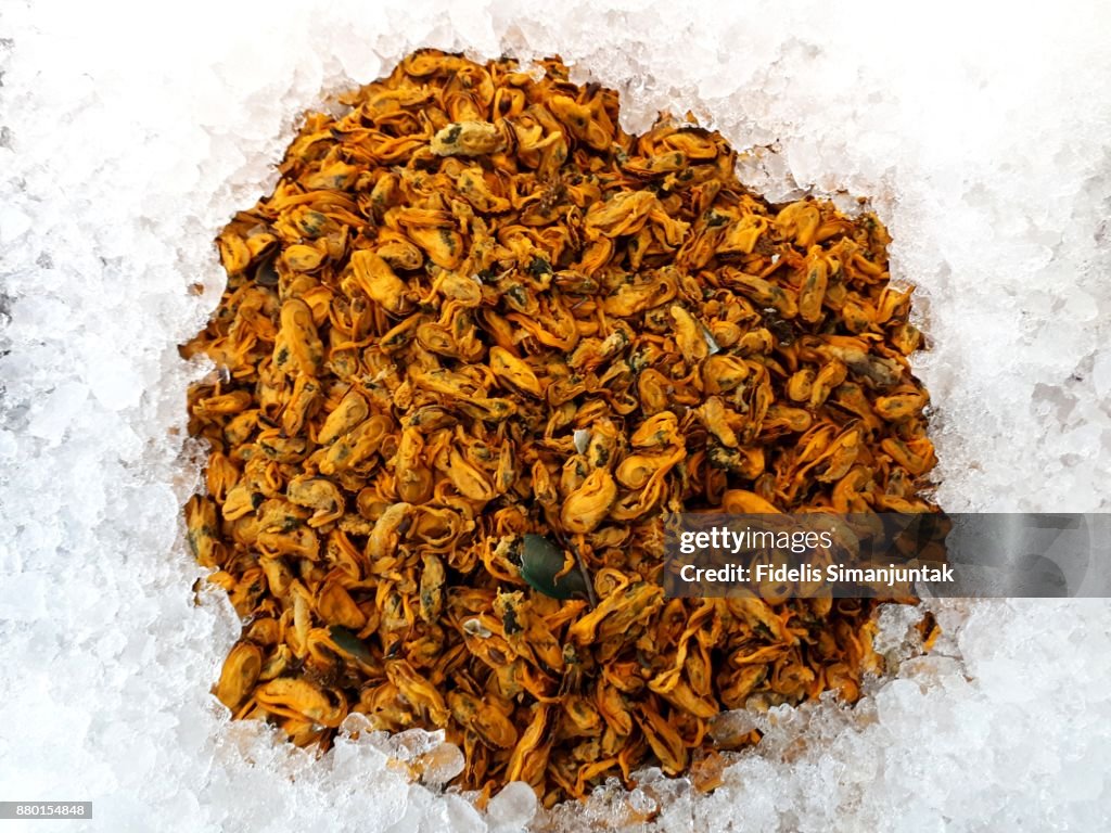 Lot of fresh clam in ice box for sale at Jakarta, Indonesia