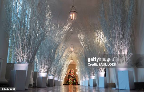 Christmas decorations are seen in the East Wing during a preview of holiday decorations at the White House in Washington, DC, November 27, 2017. /...