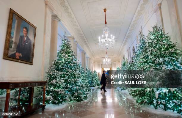 Christmas trees are seen in the Cross Hall during a preview of holiday decorations at the White House in Washington, DC, November 27, 2017. / AFP...