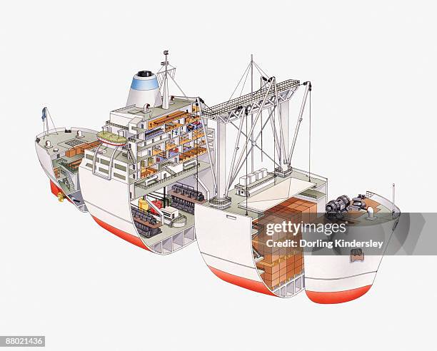 Container Section. Model Container Ship Diagram