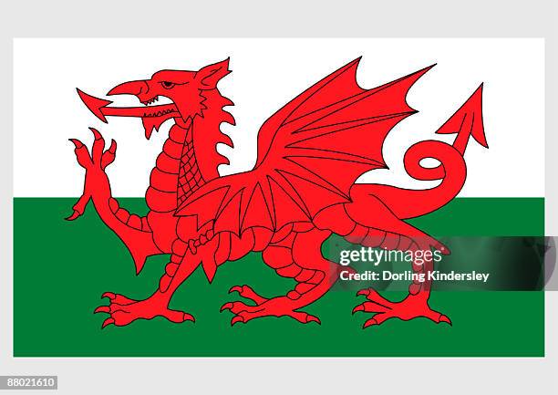 illustration of national flag of wales, with red dragon passant on green and white field - welsh flag stock-grafiken, -clipart, -cartoons und -symbole