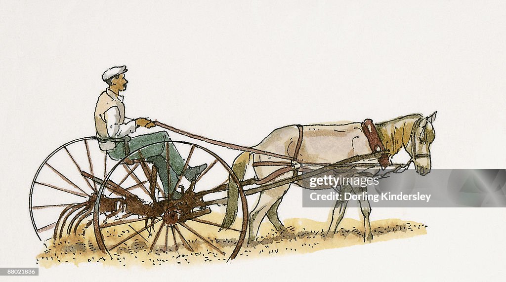 Illustration of farmer ploughing field near Burdur using traditional horsedrawn plough