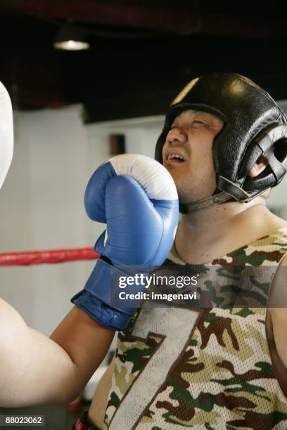 boxing - uppercut stock pictures, royalty-free photos & images