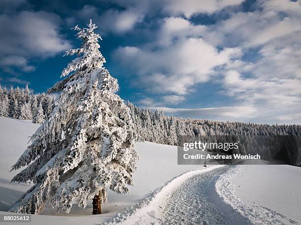 winter wonderland - fribourg canton stock pictures, royalty-free photos & images