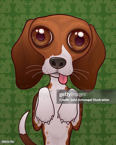 begging beagle puppy dog - beagle stock illustrations