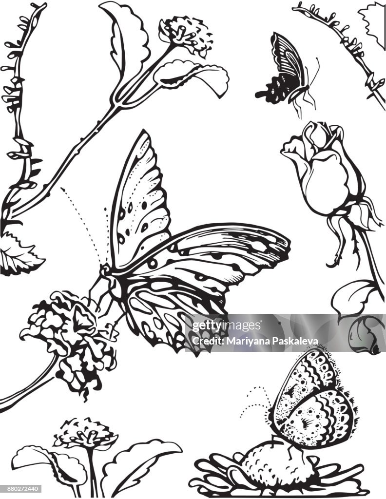 Diseño De Mariposas En Flores Vector De La Imagen Silueta Negra Fondo  Floral Ilustración de stock - Getty Images