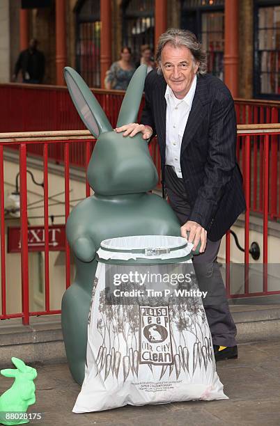 65 Rabbit Bin Stock Photos, High-Res Pictures, and Images - Getty Images